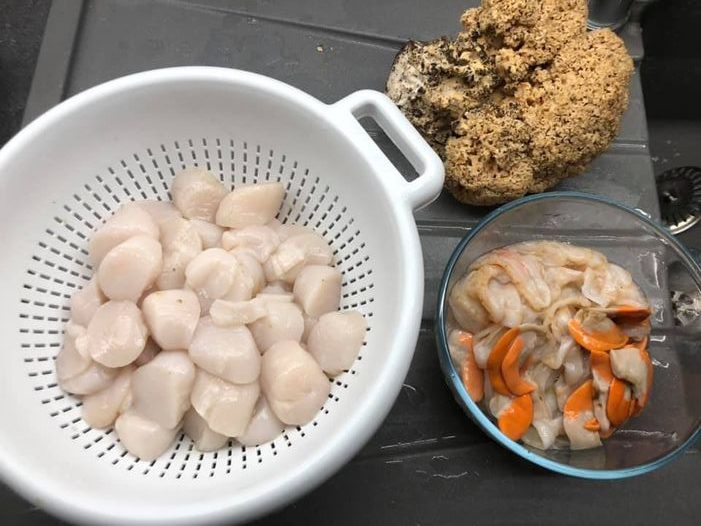 Noix de st Jacques, crémeux de topinambours et noisettes torréfiées recettes Noix de st Jacques, crémeux de topinambours et noisettes torréfiées