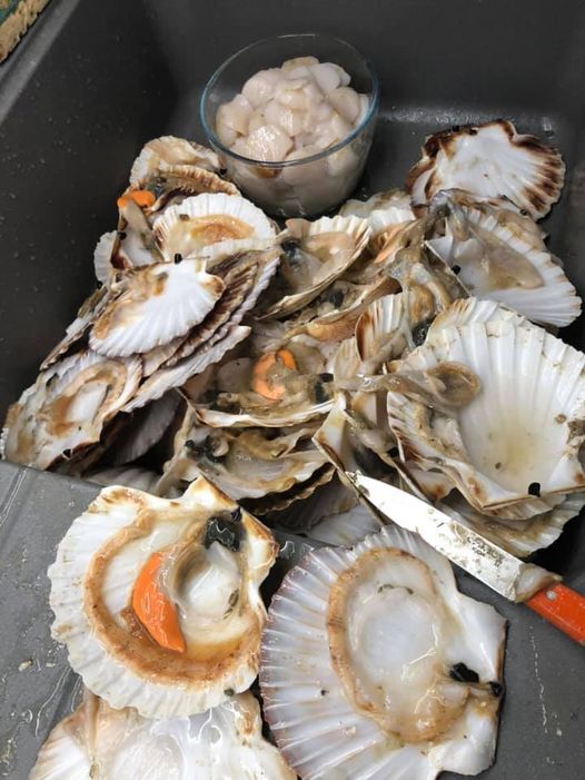 Noix de st Jacques, crémeux de topinambours et noisettes torréfiées recettes Noix de st Jacques, crémeux de topinambours et noisettes torréfiées