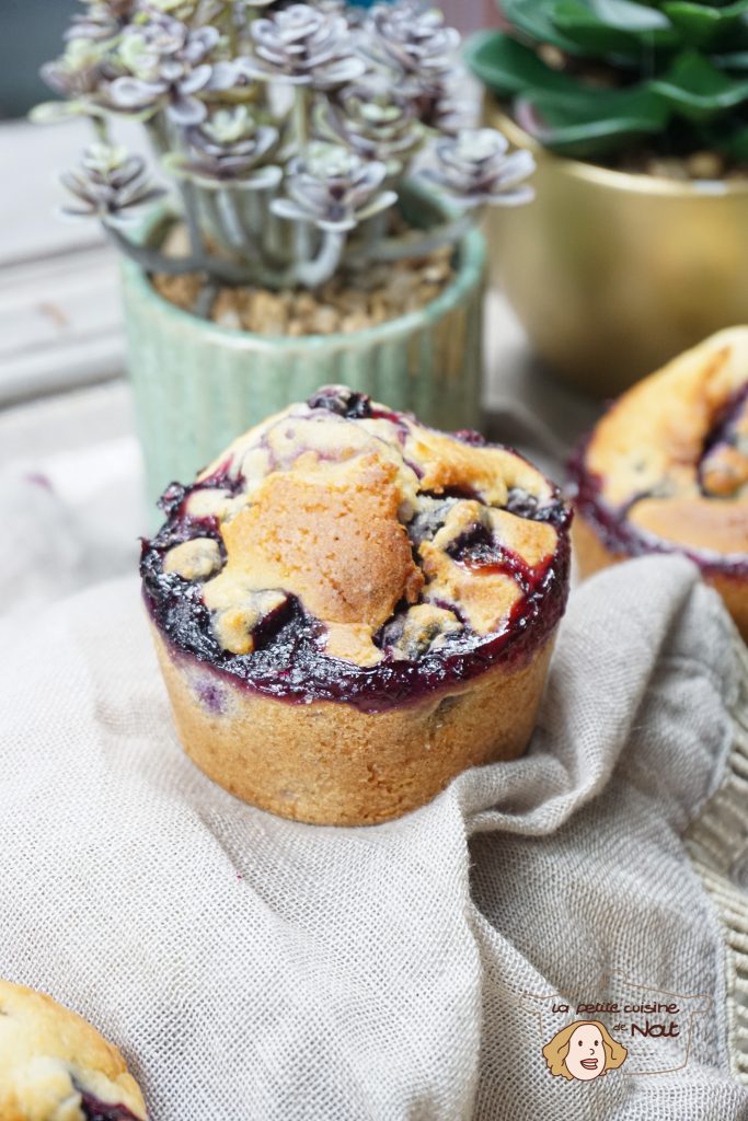 Muffins aux myrtilles recettes Muffins aux myrtilles