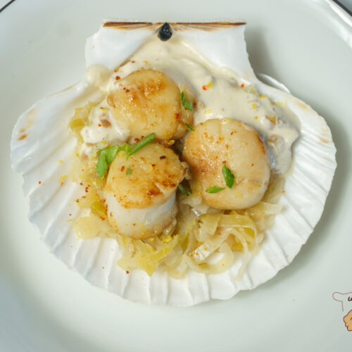 Noix de Saint-Jacques à la crème et fondue de poireaux recettes noix de Saint-Jacques à la crème et fondue de poireaux