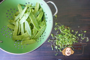 Salade de pois gourmands à la sauce asiatique recettes Salade de pois gourmands à la sauce asiatique